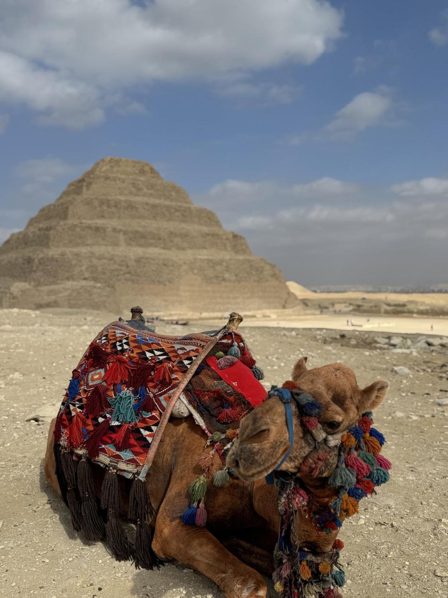 K Boutique Hotel Medspa-Pyramids & Grand Egyptian Museum Ghatati Eksteriør billede
